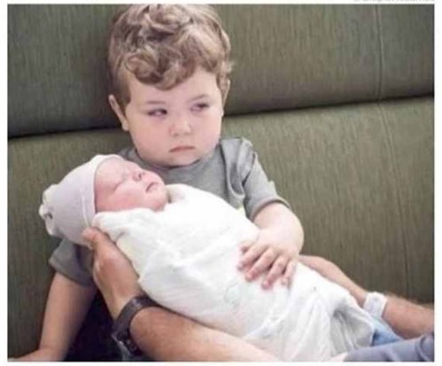 lack-of-motivation Gallup Inc Survery