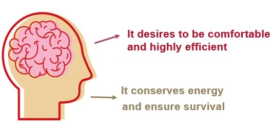 brain-ejectives-mobile