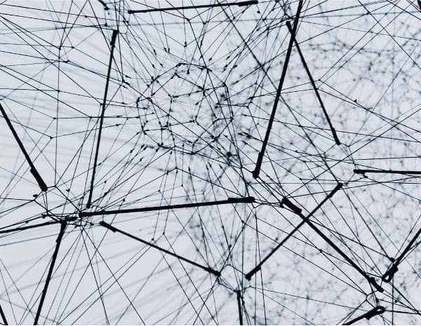 leveraging-2 Leveraging Informal Networks: The Backbone of Shadow Talent Systems